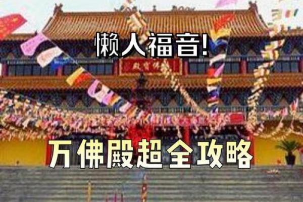 探寻木命人与最佳婚配命人的幸福之路