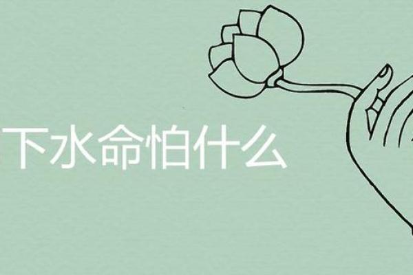 涧下水命女命适合的行业解析与人生方向指导 涧下水命女命适合的行业解析与人生方向指导