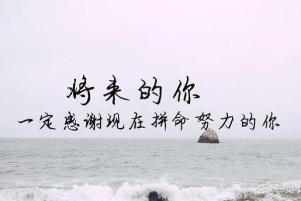 解密20006的命理：寻觅命运的呼唤与人生的抉择