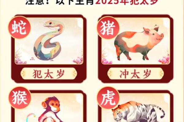 解锁命宫奥秘：西四命命宫兑的深度解析与运势展望