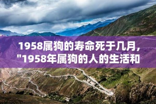 2014年狗年运势解析:如何把握机会与挑战,迎接未来的转机 2014年狗年运势解析:如何把握机会与挑战,迎接未来的转机