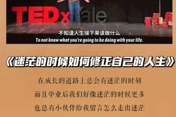 19870515出生的人命运解析：寻找人生的方向与意义