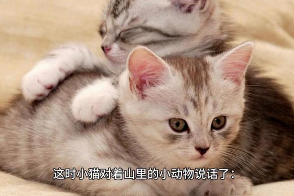 彼此相伴:动物间的忠诚与情谊故事 彼此相伴:动物间的忠诚与情谊故事