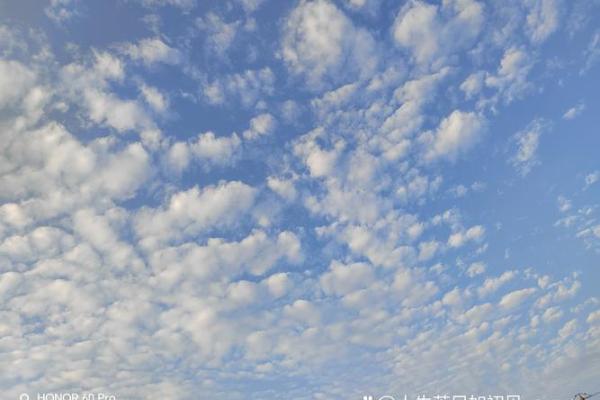 深入解析19971011出生人士的命运特征与人生启示