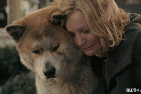 彼此相伴:动物间的忠诚与情谊故事 彼此相伴:动物间的忠诚与情谊故事