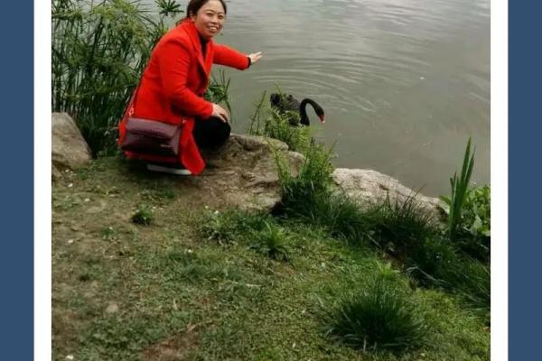 “命运的交叠:一首歌的故事和人生的哲理 “命运的交叠:一首歌的故事和人生的哲理