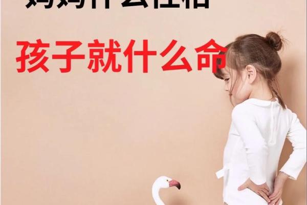 1997年牛年出生的人：命运与性格的探索