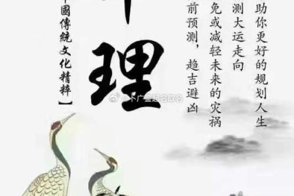 命理占卜:解析你命格的奥秘与启示 命理占卜:解析你命格的奥秘与启示