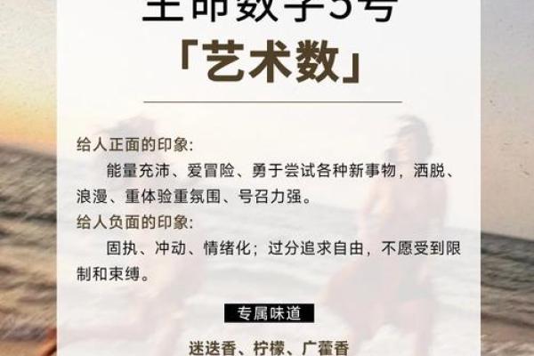 命运的数字：解读20011103的奥秘与启示