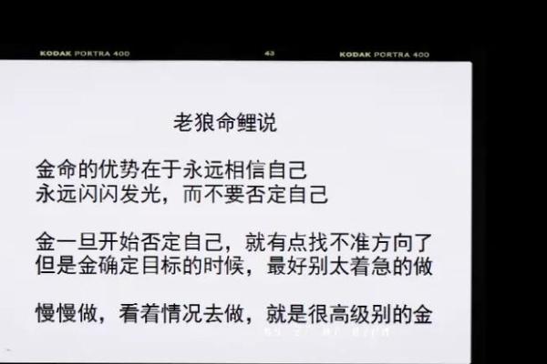 1998年出生的人命运解析:木命的奥秘与人生智慧 1998年出生的人命运解析:木命的奥秘与人生智慧