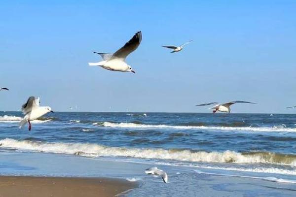 1999年出生的命运解析：缺啥补啥，如何走向人生巅峰