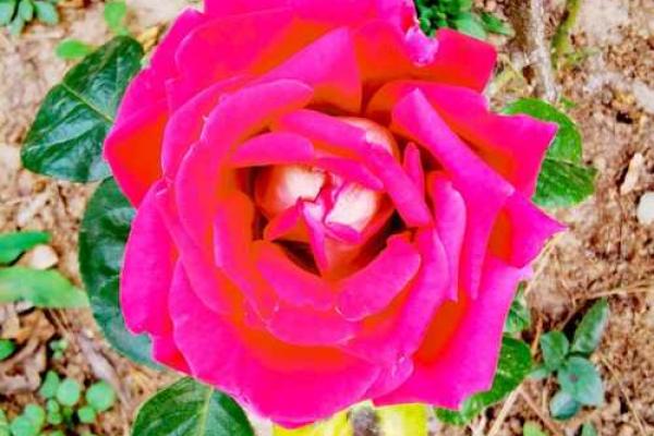 享福命与富贵命：人生的两种幸福追求