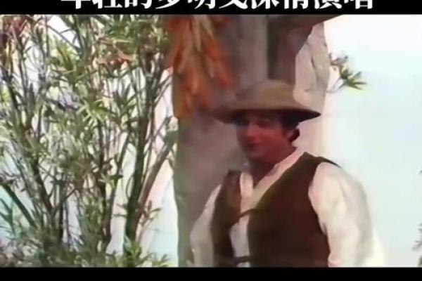 探索仙命与神命：为何仙命更具魅力与深意