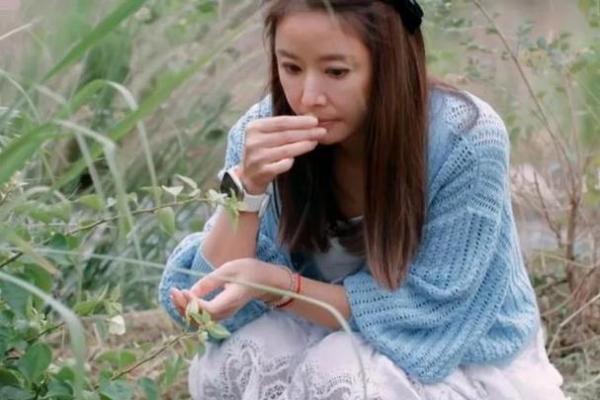 20051214这一命，带你探索命理的奥秘与生活的智慧