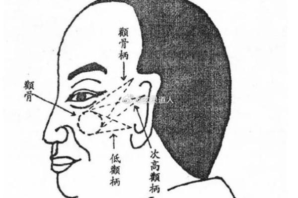 解析金命命女的性格特征与面相影响 解析金命命女的性格特征与面相影响