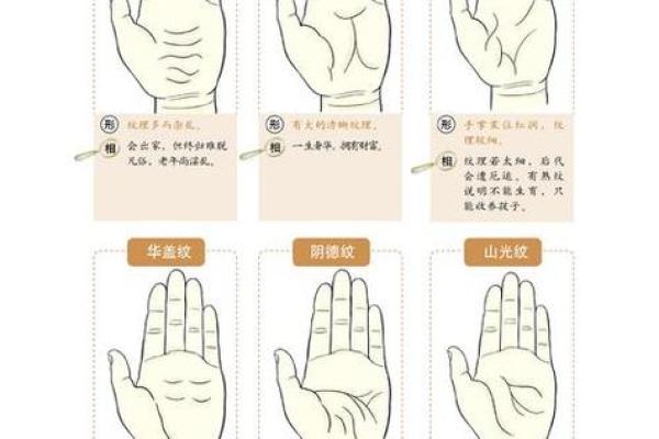 根据出生日期解析命运:你的生命密码在何处? 根据出生日期解析命运:你的生命密码在何处?