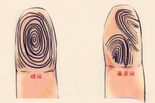 男命5两8钱解密:命运与财富的奥秘探索 男命5两8钱解密:命运与财富的奥秘探索