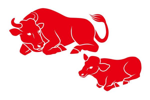 男命与女命:宇宙间灵魂的碰撞与和谐共鸣 男命与女命:宇宙间灵魂的碰撞与和谐共鸣