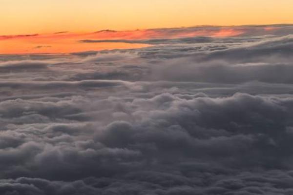 1984年出生的鼠年人:独特的命运与人生之路 1984年出生的鼠年人:独特的命运与人生之路