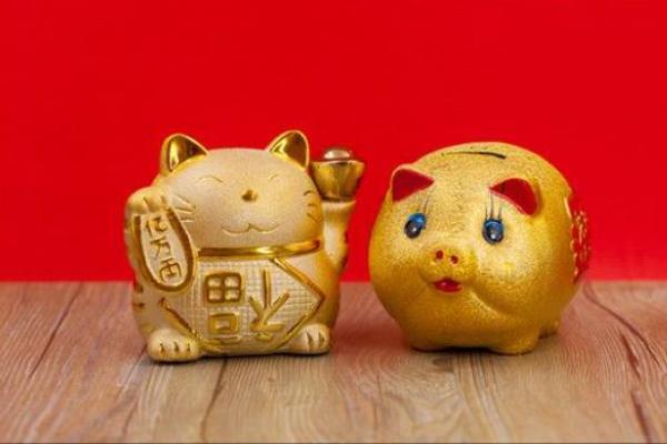 2019年金猪年的命运揭秘与运势分析 2019年金猪年的命运揭秘与运势分析
