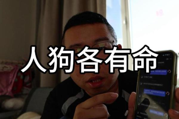 一九八二年狗年出生者的命运与生活智慧探讨 一九八二年狗年出生者的命运与生活智慧探讨