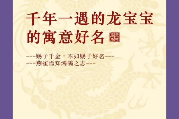 2013龙宝宝的命运解析:如何掌握龙年的好运与未来 2013龙宝宝的命运解析:如何掌握龙年的好运与未来