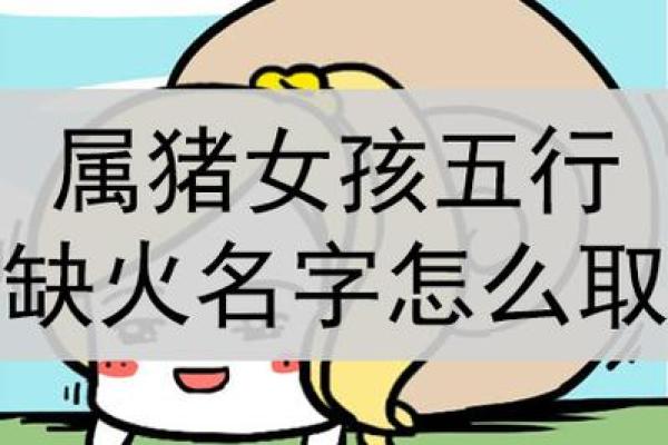 探寻猪年男孩的命运密码:生肖与命理的奥秘 探寻猪年男孩的命运密码:生肖与命理的奥秘