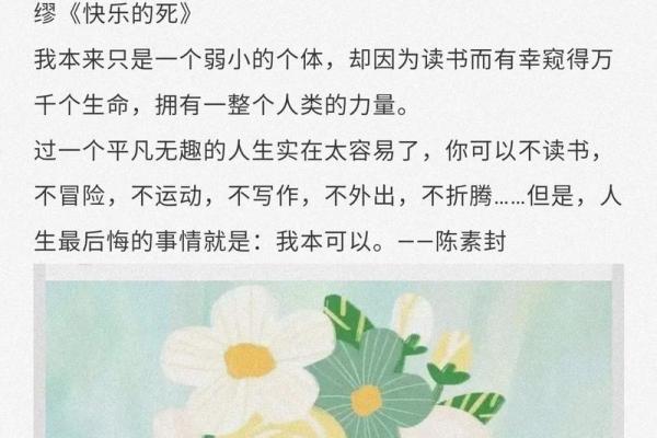 五两五钱的命:命运中的平衡与智慧 五两五钱的命:命运中的平衡与智慧