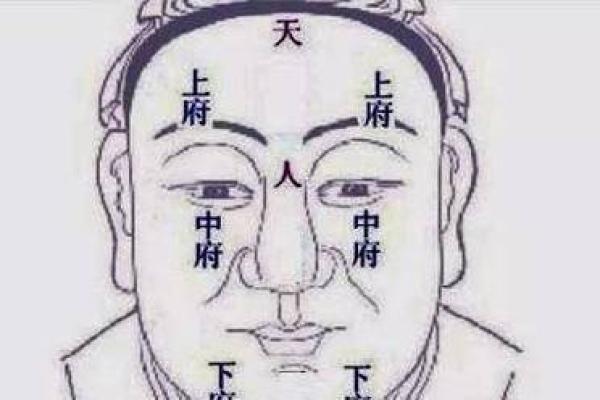 从面相看,怎样判断一个人是否旺命? 从面相看,怎样判断一个人是否旺命?