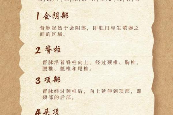 探索十二属相:每个命运背后的奥秘与智慧 探索十二属相:每个命运背后的奥秘与智慧