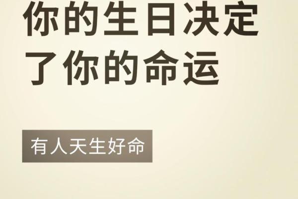 2025年午马命详解：揭秘马年出生人士的命运与性格特征