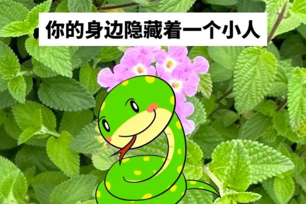 1965年出生属蛇,性格与命运的探讨与解析 1965年出生属蛇,性格与命运的探讨与解析