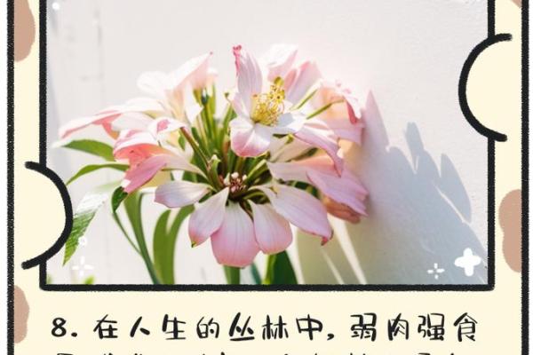 1945属鸡人的命运解析：智慧与勇气的结合之道
