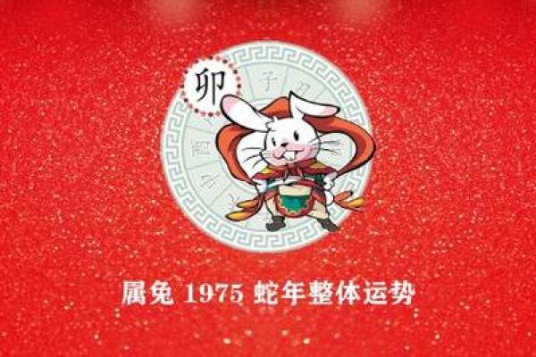 1975属兔人的命运解析：智慧与机遇的双重礼赞
