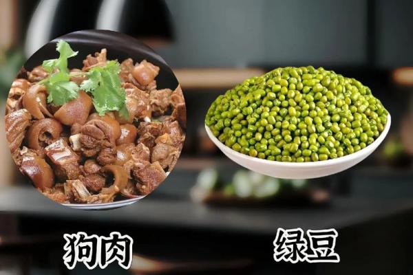 浅析木鸡之命的命格特征与生活启示 浅析木鸡之命的命格特征与生活启示