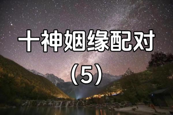 猪山头火命与最佳婚姻姻缘配对分析