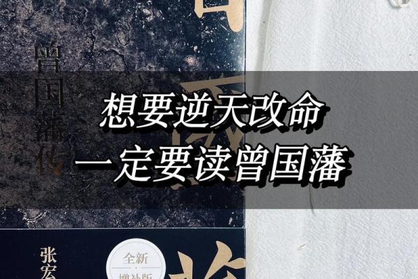 浅析木鸡之命的命格特征与生活启示 浅析木鸡之命的命格特征与生活启示