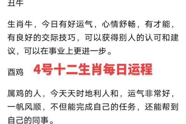 3023年兔年运势：兔年生人如何掌握命运与机遇？