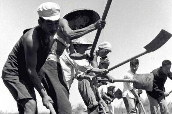 1959年出生的人：揭示其命运与性格的奥秘