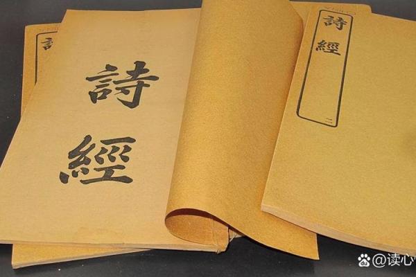 解密数字1974115的命理奥秘：探索其深层含义与生活启示