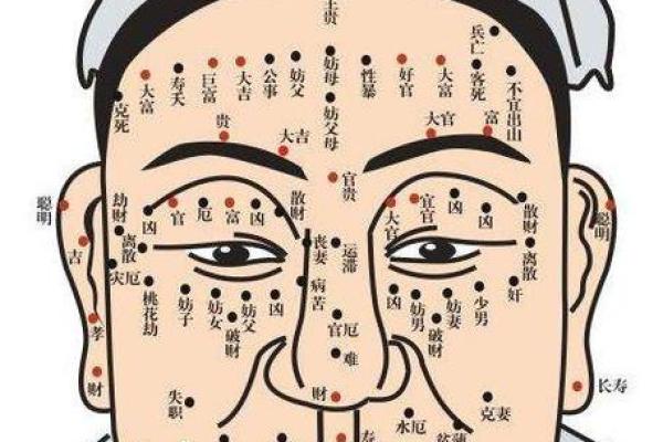 182年属狗的命运与性格解析:揭开命理的神秘面纱 182年属狗的命运与性格解析:揭开命理的神秘面纱