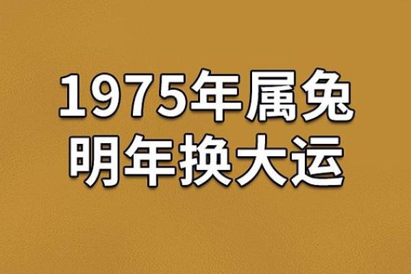 兔年孩子命理解析：2023年出生宝宝的性格与未来