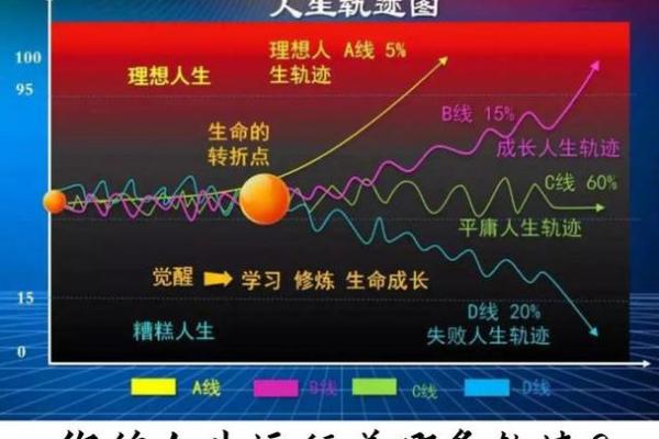 八字命盘解密：从四柱看你的命运与人生轨迹