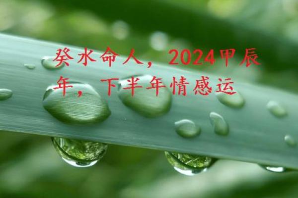水命解析：了解水命的意义与特征，助你更好地利用命理智慧