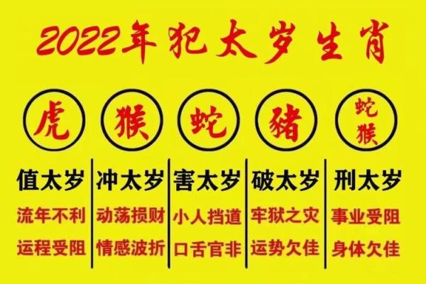 2022年属相命理全解析：揭开你与命运的秘密之门