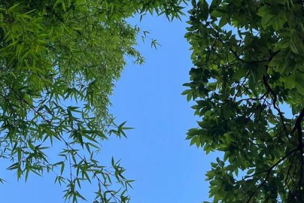 木命与哪些命最旺夫，提升生活幸福感的秘密！
