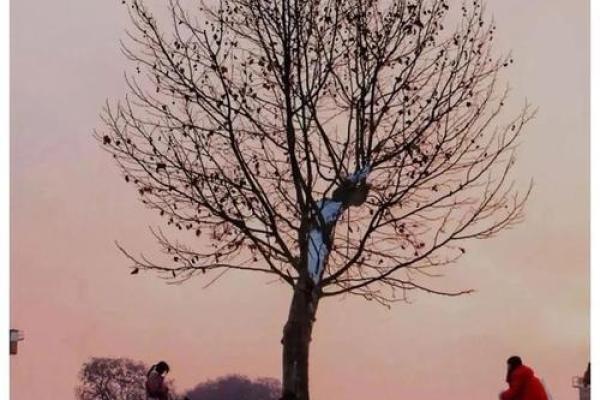 一生平坦命格解读：如何看待平凡人生中的美好与机遇