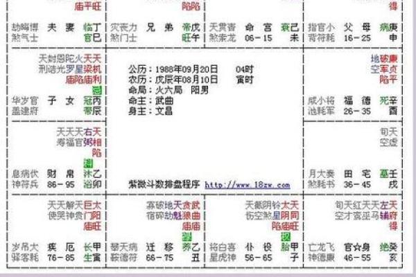 命理学中的命主解析：揭示你生命中的独特角色与意义