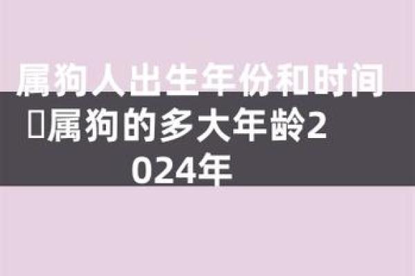 2018属狗之人：命理解析与生活智慧的探索