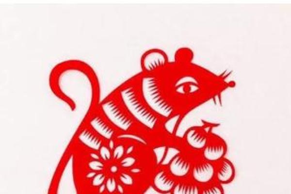 2019年属鼠的人生走向与命运解析,揭示性格与运势的秘密 2019年属鼠的人生走向与命运解析,揭示性格与运势的秘密